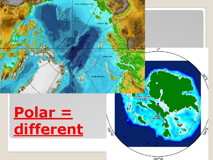 Polar = different 
