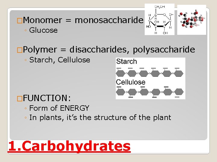 �Monomer ◦ Glucose = monosaccharide �Polymer = disaccharides, ◦ Starch, Cellulose polysaccharide �FUNCTION: ◦
