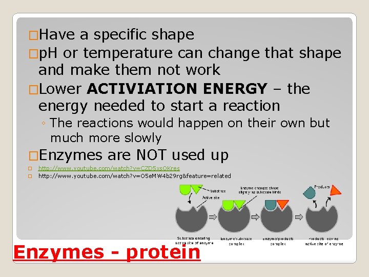 �Have a specific shape �p. H or temperature can change that shape and make