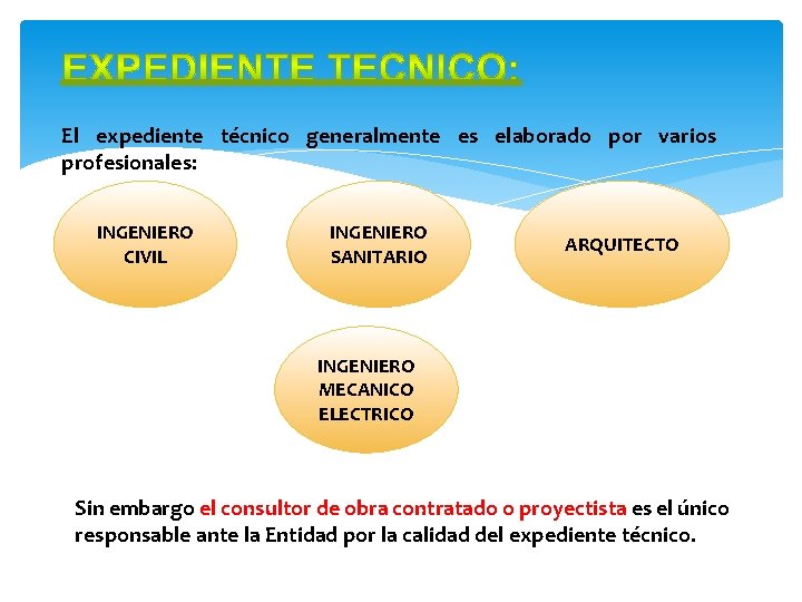 El expediente técnico generalmente es elaborado por varios profesionales: INGENIERO CIVIL INGENIERO SANITARIO ARQUITECTO