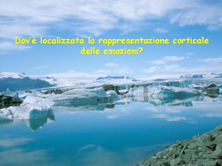 Dov’è localizzata la rappresentazione corticale delle emozioni? Dov’è localizzata la rappresentazione corticale delle emozioni?