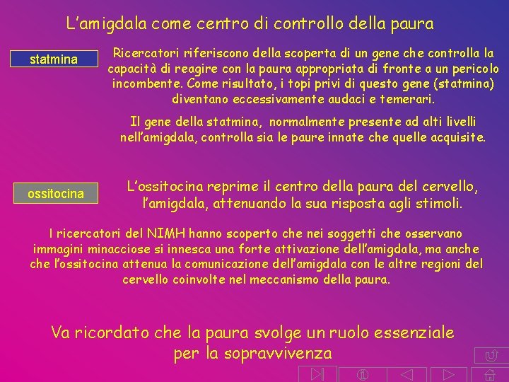 L’amigdala come centro di controllo della paura statmina Ricercatori riferiscono della scoperta di un L’amigdala come centro di controllo della paura statmina Ricercatori riferiscono della scoperta di un