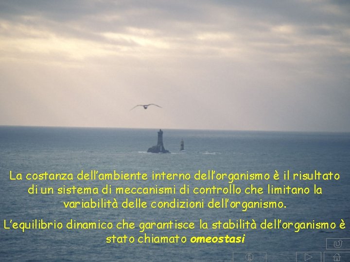 La costanza dell’ambiente interno dell’organismo è il risultato di un sistema di meccanismi di La costanza dell’ambiente interno dell’organismo è il risultato di un sistema di meccanismi di