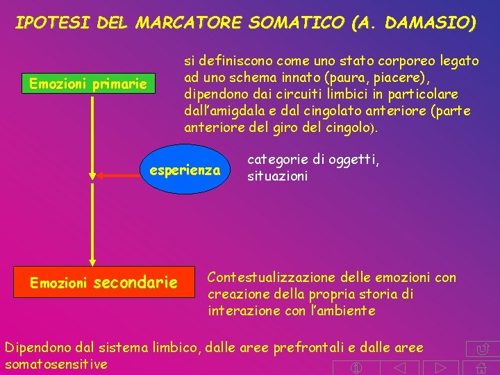 IPOTESI DEL MARCATORE SOMATICO (A. DAMASIO) si definiscono come uno stato corporeo legato ad IPOTESI DEL MARCATORE SOMATICO (A. DAMASIO) si definiscono come uno stato corporeo legato ad