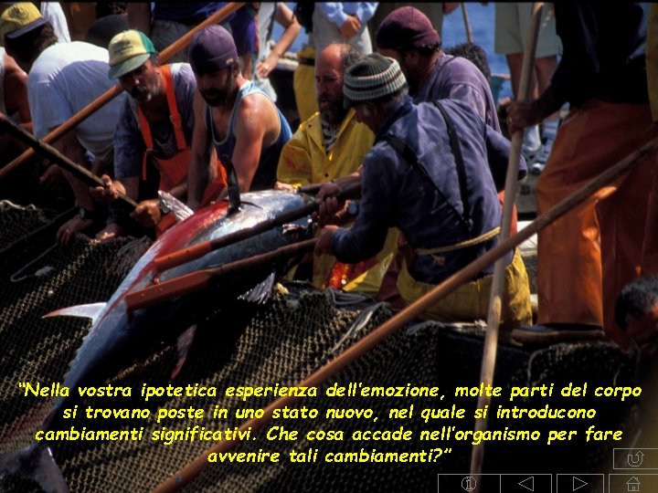 “Nella vostra ipotetica esperienza dell’emozione, molte parti del corpo si trovano poste in uno “Nella vostra ipotetica esperienza dell’emozione, molte parti del corpo si trovano poste in uno