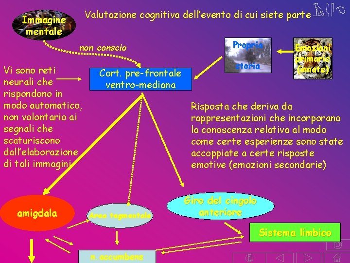 Valutazione cognitiva dell’evento di cui siete parte Immagine mentale non conscio Vi sono reti Valutazione cognitiva dell’evento di cui siete parte Immagine mentale non conscio Vi sono reti