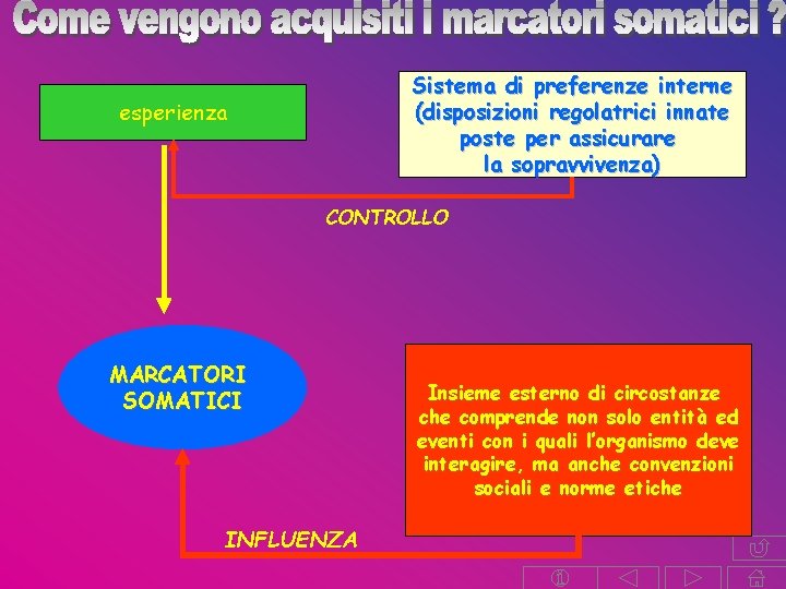 Sistema di preferenze interne (disposizioni regolatrici innate poste per assicurare la sopravvivenza) esperienza CONTROLLO Sistema di preferenze interne (disposizioni regolatrici innate poste per assicurare la sopravvivenza) esperienza CONTROLLO