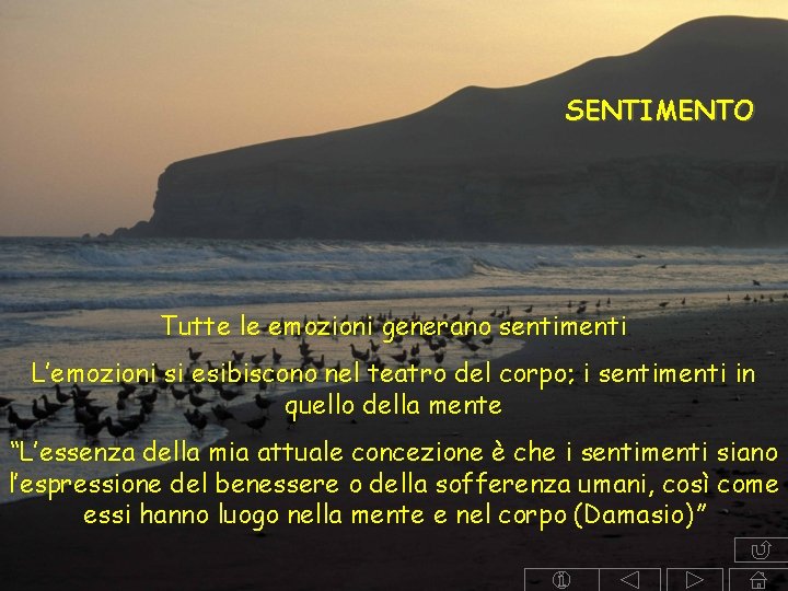 SENTIMENTO Tutte le emozioni generano sentimenti L’emozioni si esibiscono nel teatro del corpo; i SENTIMENTO Tutte le emozioni generano sentimenti L’emozioni si esibiscono nel teatro del corpo; i