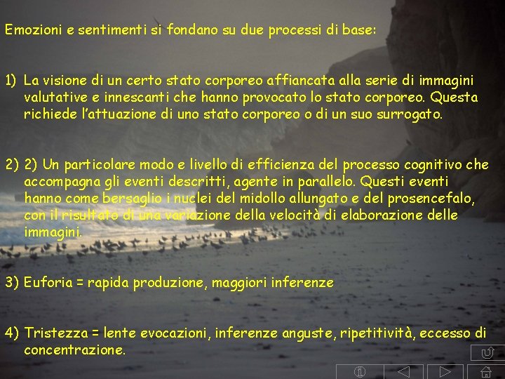 Emozioni e sentimenti si fondano su due processi di base: 1) La visione di Emozioni e sentimenti si fondano su due processi di base: 1) La visione di