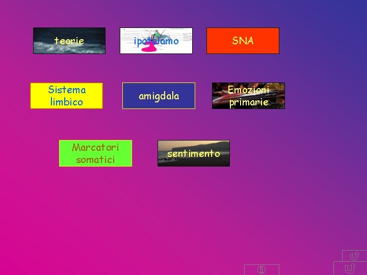 teorie ipotalamo Sistema limbico amigdala Marcatori somatici sentimento SNA Emozioni primarie teorie ipotalamo Sistema limbico amigdala Marcatori somatici sentimento SNA Emozioni primarie