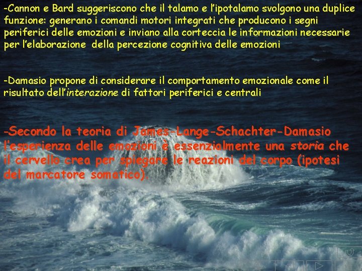 -Cannon e Bard suggeriscono che il talamo e l’ipotalamo svolgono una duplice funzione: generano -Cannon e Bard suggeriscono che il talamo e l’ipotalamo svolgono una duplice funzione: generano