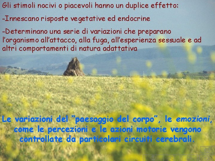 Gli stimoli nocivi o piacevoli hanno un duplice effetto: -Innescano risposte vegetative ed endocrine Gli stimoli nocivi o piacevoli hanno un duplice effetto: -Innescano risposte vegetative ed endocrine