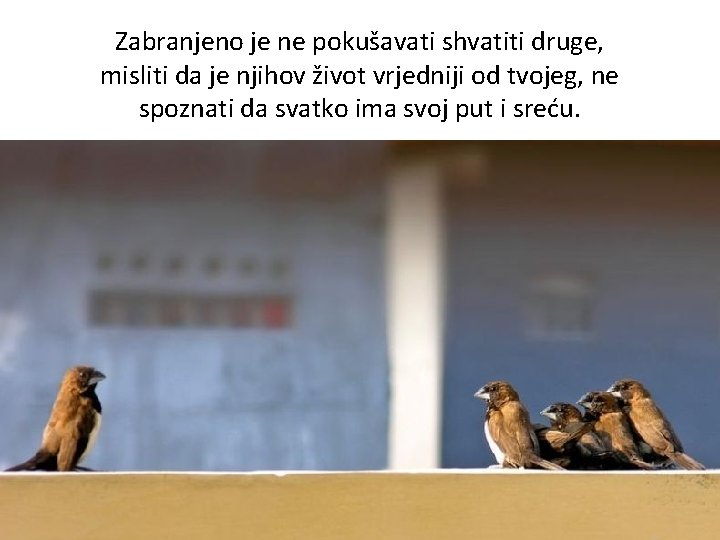 Zabranjeno je ne pokušavati shvatiti druge, misliti da je njihov život vrjedniji od tvojeg,