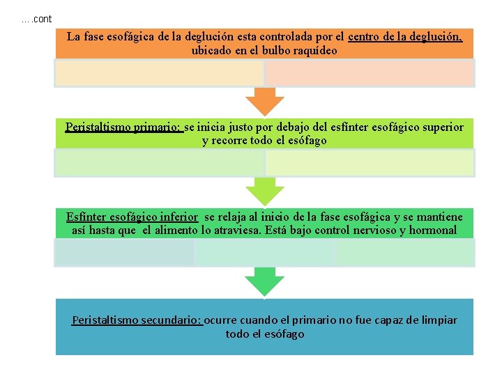 …. cont La fase esofágica de la deglución esta controlada por el centro de