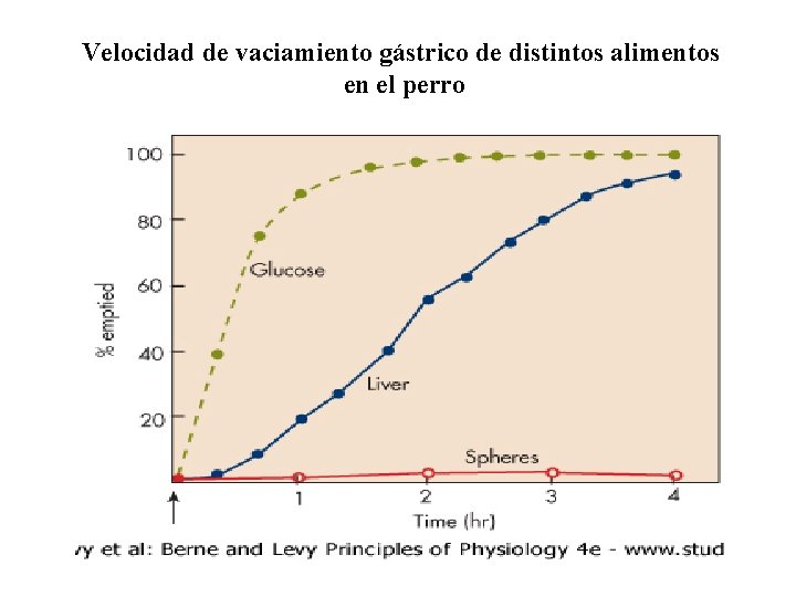 Velocidad de vaciamiento gástrico de distintos alimentos en el perro 
