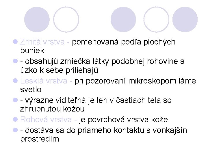 l Zrnitá vrstva - pomenovaná podľa plochých buniek l - obsahujú zrniečka látky podobnej