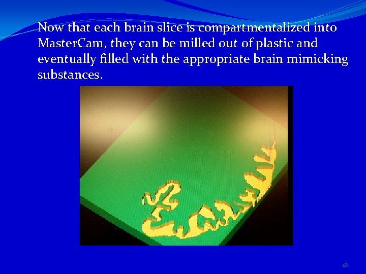 Now that each brain slice is compartmentalized into Master. Cam, they can be milled