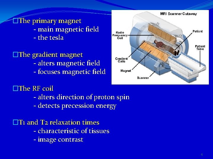 �The primary magnet - main magnetic field - the tesla �The gradient magnet -