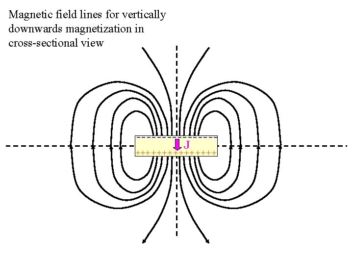 Magnetic field lines for vertically downwards magnetization in cross-sectional view --------J + + +