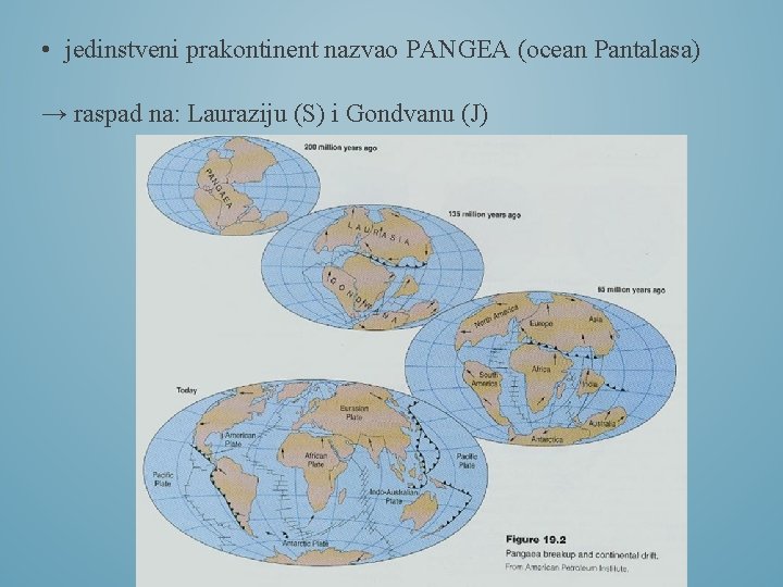  • jedinstveni prakontinent nazvao PANGEA (ocean Pantalasa) → raspad na: Lauraziju (S) i