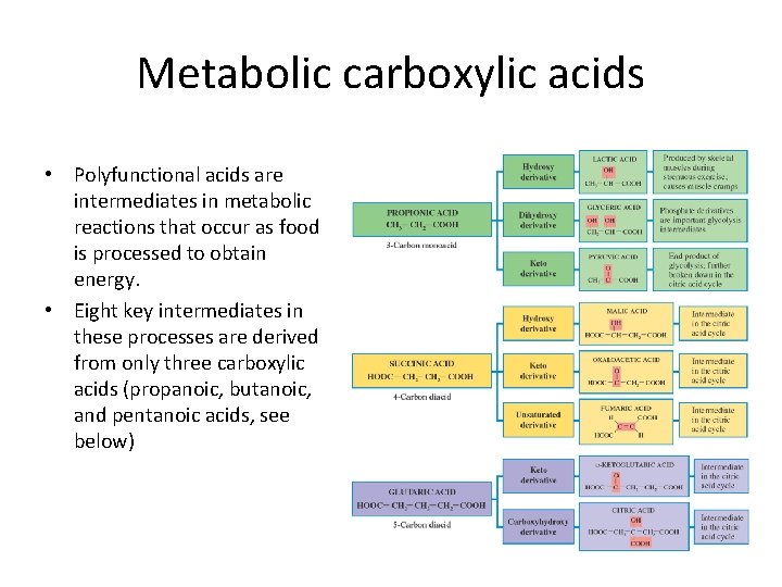 Metabolic carboxylic acids • Polyfunctional acids are intermediates in metabolic reactions that occur as