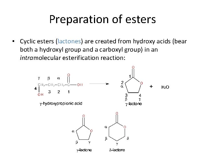 Preparation of esters • Cyclic esters (lactones) are created from hydroxy acids (bear both