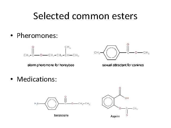 Selected common esters • Pheromones: • Medications: 