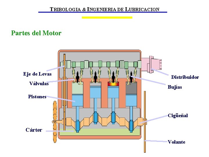 TRIBOLOGIA & INGENIERIA DE LUBRICACION Partes del Motor Eje de Levas Válvulas Distribuidor Bujías
