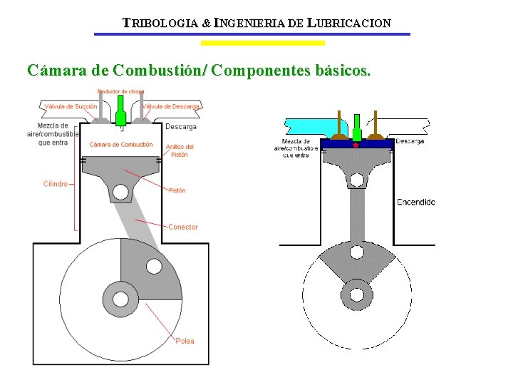 TRIBOLOGIA & INGENIERIA DE LUBRICACION Cámara de Combustión/ Componentes básicos. 