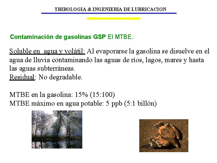 TRIBOLOGIA & INGENIERIA DE LUBRICACION Contaminación de gasolinas GSP El MTBE. Soluble en agua
