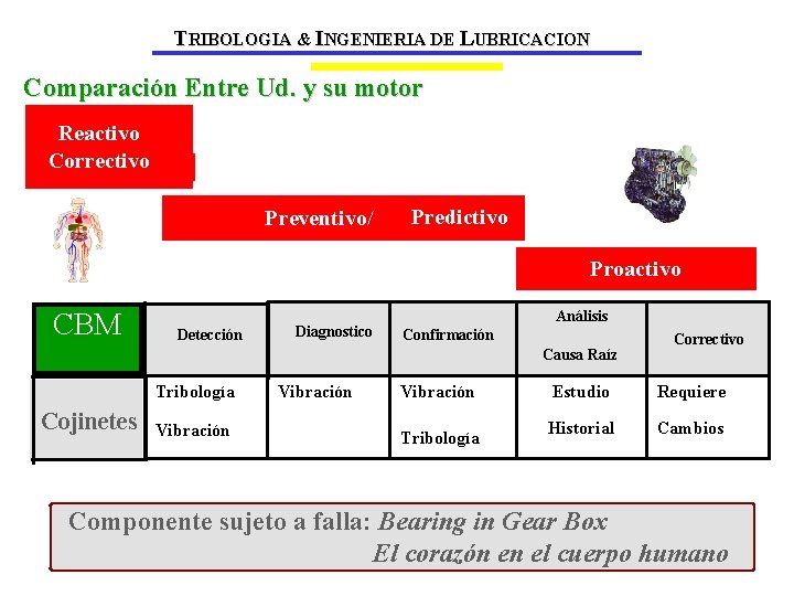 TRIBOLOGIA & INGENIERIA DE LUBRICACION Comparación Entre Ud. y su motor Reactivo Correctivo Preventivo/