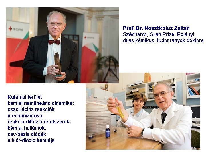 Prof. Dr. Noszticzius Zoltán Széchenyi, Gran Prize, Polányi díjas kémikus, tudományok doktora Kutatási terület:
