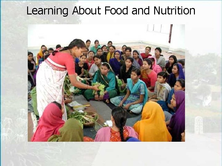 Learning About Food and Nutrition 