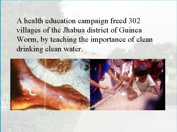 A health education campaign freed 302 villages of the Jhabua district of Guinea Worm,