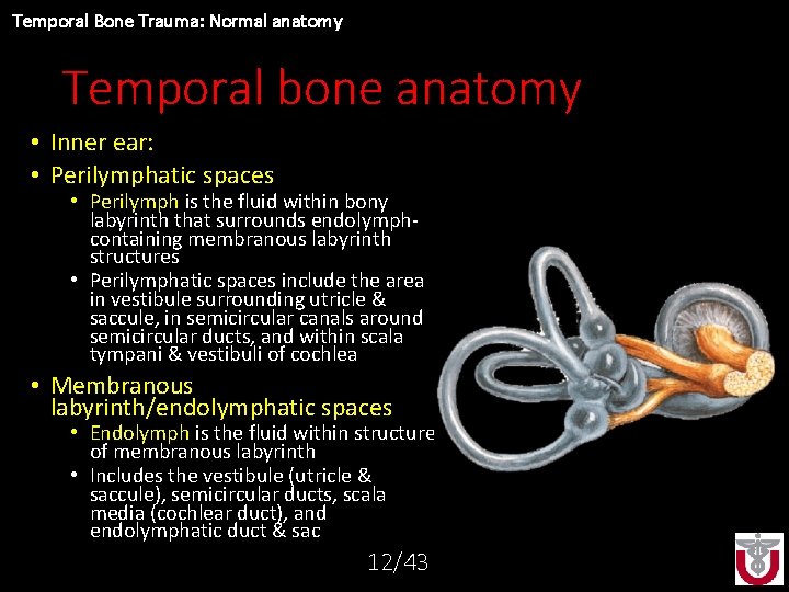 Temporal Bone Trauma: Normal anatomy Temporal bone anatomy • Inner ear: • Perilymphatic spaces