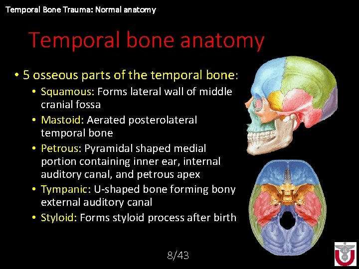 Temporal Bone Trauma: Normal anatomy Temporal bone anatomy • 5 osseous parts of the