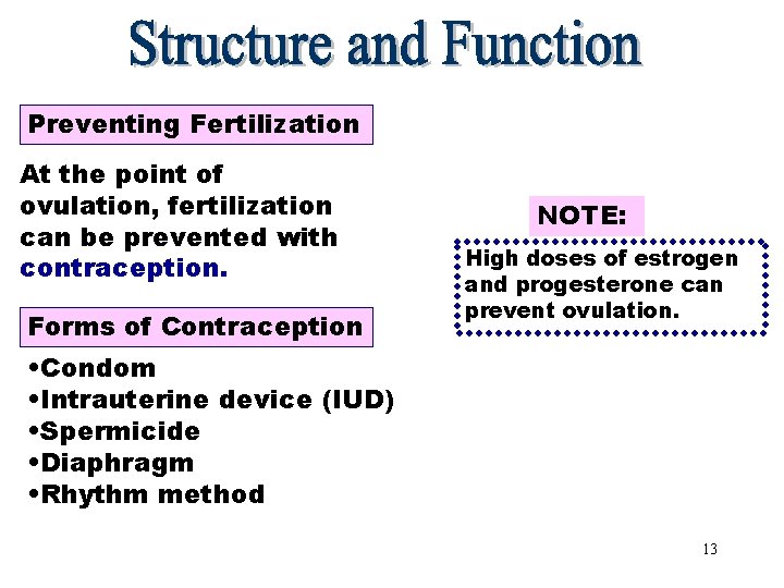 Preventing Fertilization At the point of ovulation, fertilization can be prevented with contraception. Forms