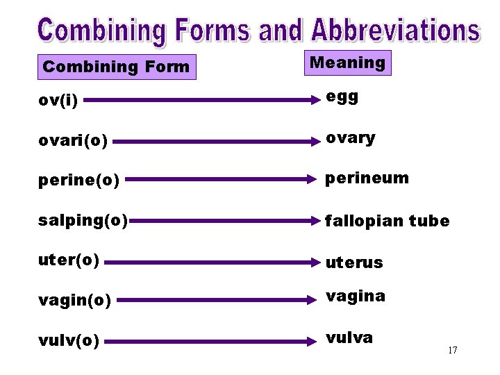 Combining Forms & Meaning Combining Form Abbreviations (ov) egg ov(i) ovari(o) ovary perine(o) perineum