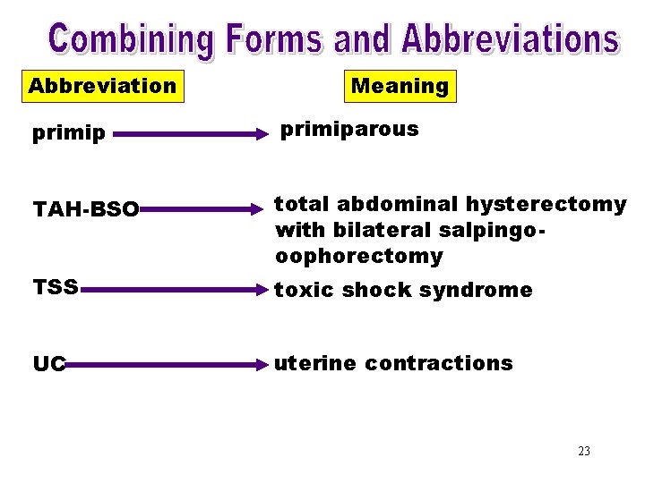 Combining Forms & Abbreviation Meaning Abbreviations (primip) primiparous primip TAH-BSO total abdominal hysterectomy with