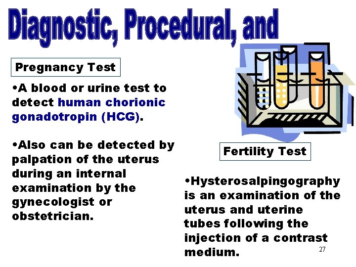Pregnancy Test • A blood or urine test to detect human chorionic gonadotropin (HCG).