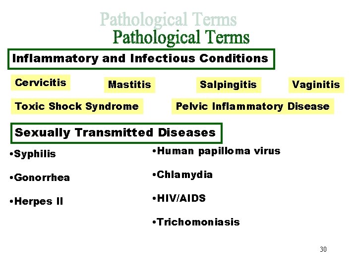 Pathological Terms Part 3 Inflammatory and Infectious Conditions Cervicitis Mastitis Toxic Shock Syndrome Salpingitis