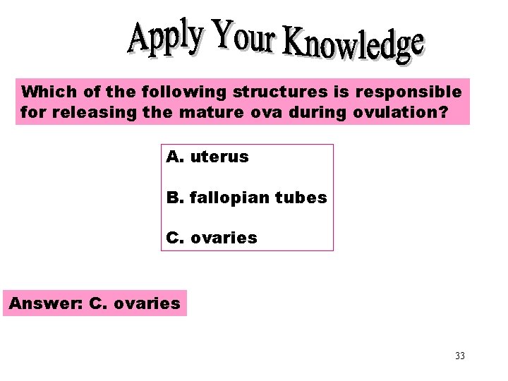 Apply Your Knowledge Which of the following structures is responsible for releasing the mature