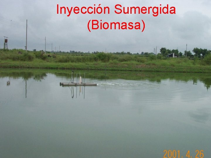 Inyección Sumergida (Biomasa) 