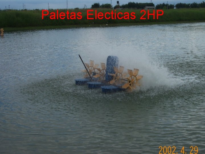 Paletas Electicas 2 HP 