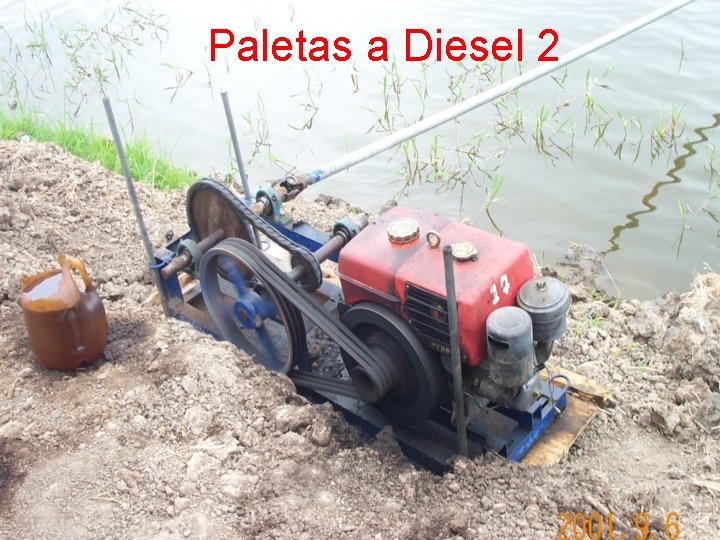 Paletas a Diesel 2 