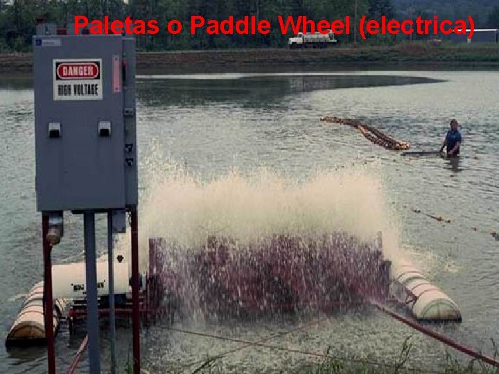 Paletas o Paddle Wheel (electrica) 