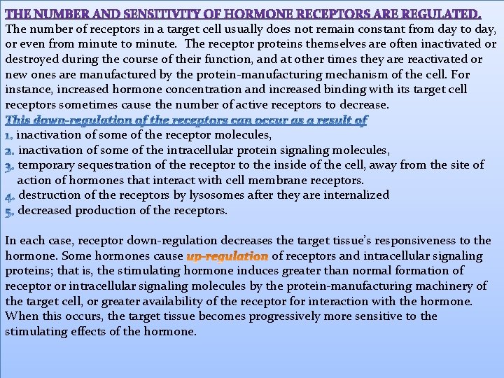 The number of receptors in a target cell usually does not remain constant from