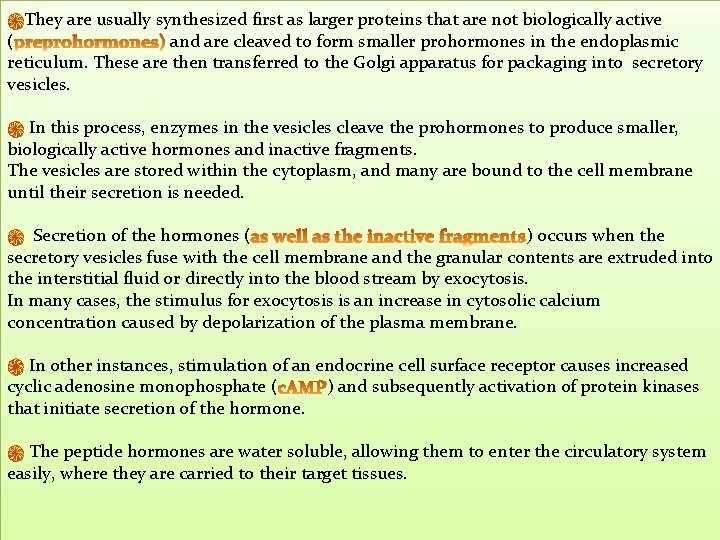 ֍They are usually synthesized first as larger proteins that are not biologically active (