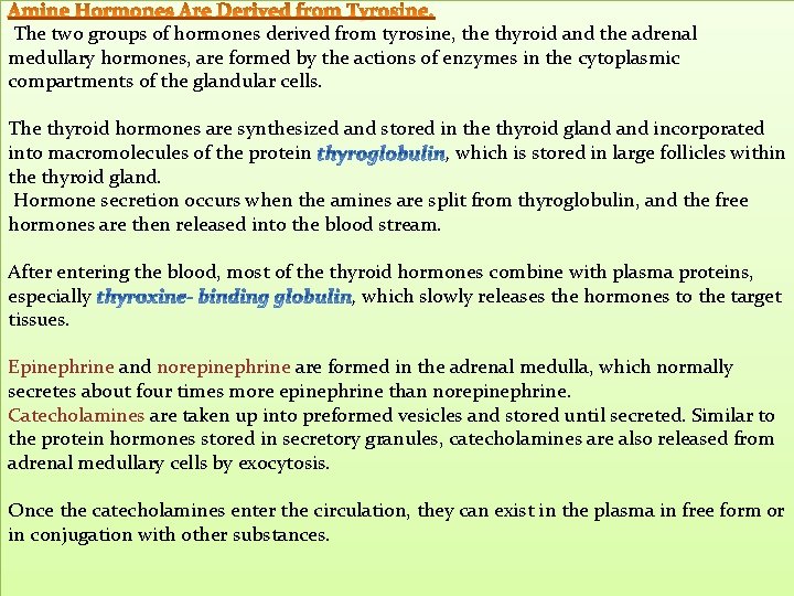 The two groups of hormones derived from tyrosine, the thyroid and the adrenal medullary