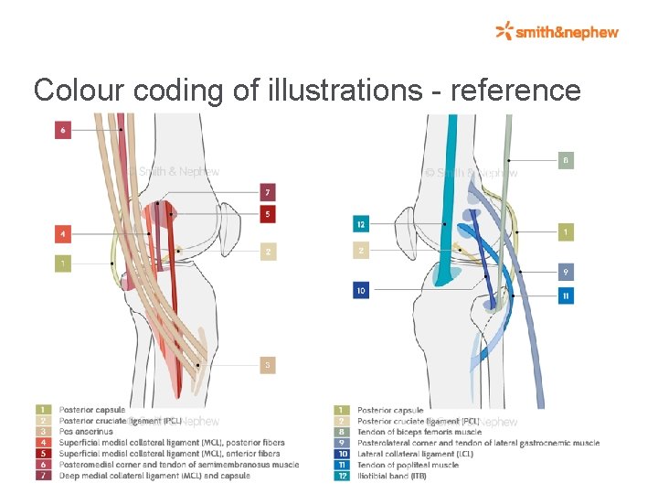 Colour coding of illustrations - reference 